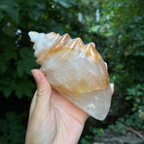 Hematoid Quartz Conch Carving