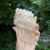 Hematoid Quartz Conch Carving
