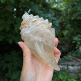 Hematoid Quartz Conch Carving