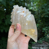 Hematoid Quartz Conch Carving