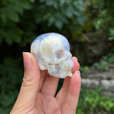 Blue Chalcedony Skull