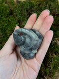Labradorite Horned Skull