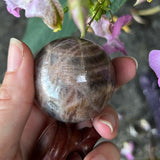 Black Moonstone & Sunstone Sphere with Wooden Stand