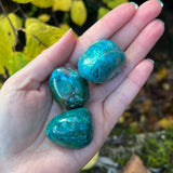 Chrysocolla Pebbles