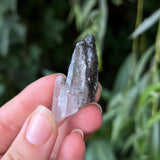 Black Rutilated Quartz Specimen