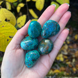 Tumbled Chrysocolla (Large)