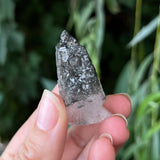 Black Rutilated Quartz Specimen
