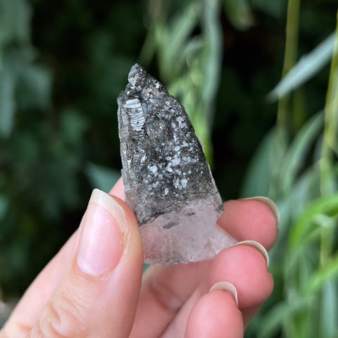 Black Rutilated Quartz Specimen