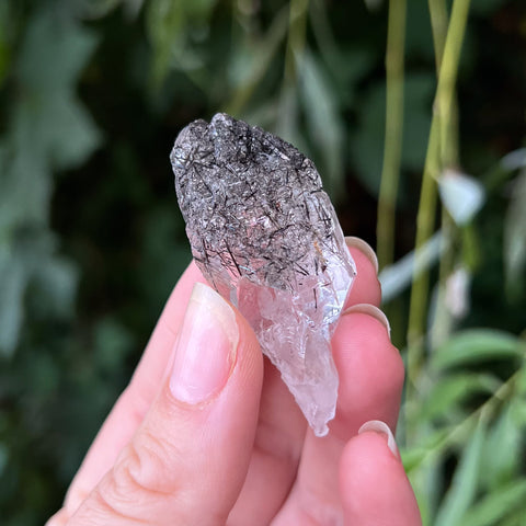 Black Rutilated Quartz Specimen