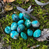 Tumbled Chrysocolla