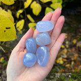 Tumbled Blue Chalcedony