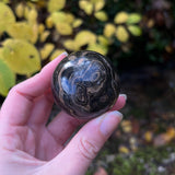 Stromatolite Spheres
