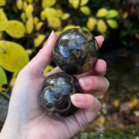 Stromatolite Spheres
