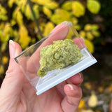 Minnesotaite Specimens from Austria