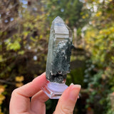 Italian Alpine Quartz with Chlorite Specimen