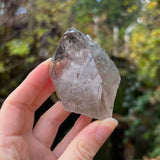 Italian Alpine Quartz with Chlorite Specimen