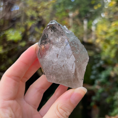 Italian Alpine Quartz with Chlorite Specimen