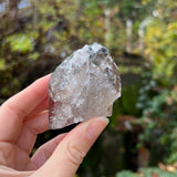 Italian Alpine Quartz with Chlorite Specimen