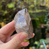 Italian Alpine Quartz with Chlorite Specimen