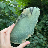 Epidote in Prehnite Slice