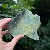 Epidote in Prehnite Slice