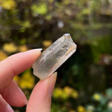 Unique Included Quartz from Inner Mongolia