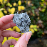 Tibetan Included Quartz Clusters (Small)