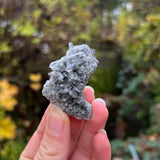 Tibetan Included Quartz Clusters (Small)
