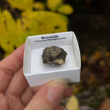 Bronzite Specimens from Austria