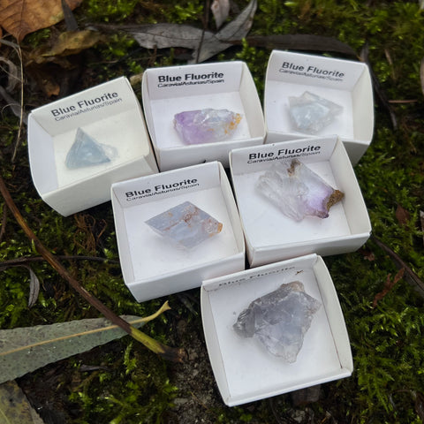 Fluorite Specimens from Spain