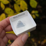 Fluorite Specimens from Spain