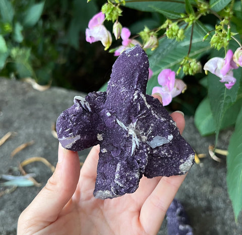 New Find Purple Fluorite Over Candle Quartz Specimen