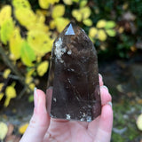 Included Smoky Quartz Polished Point