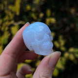 Blue Chalcedony Skull