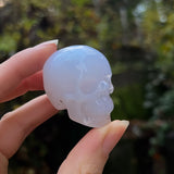 Blue Chalcedony Skull