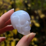 Blue Chalcedony Skull