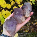 Amethyst Crystals