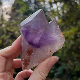 Amethyst Crystals