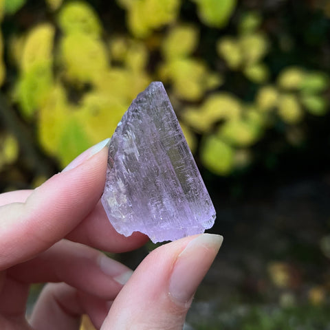 Pala Kunzite Specimen