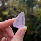 Pala Kunzite Specimen