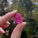 Natural (Unheated) Ruby Fruit Carving