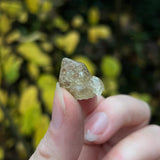Mexican Citrine Crystal