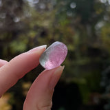 Bi-Color California Tourmaline