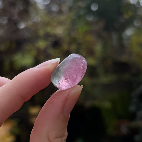 Bi-Color California Tourmaline