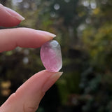 Bi-Color California Tourmaline