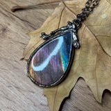 Spectrum