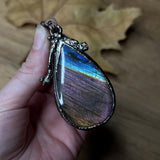 Spectrum