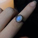 Creature Ring - Rainbow Moonstone Copper Ring (Size 6.5)
