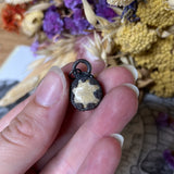 Fossilized Coral Necklace