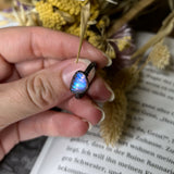 Rainbow Moonstone Shell Ring Size 8.5